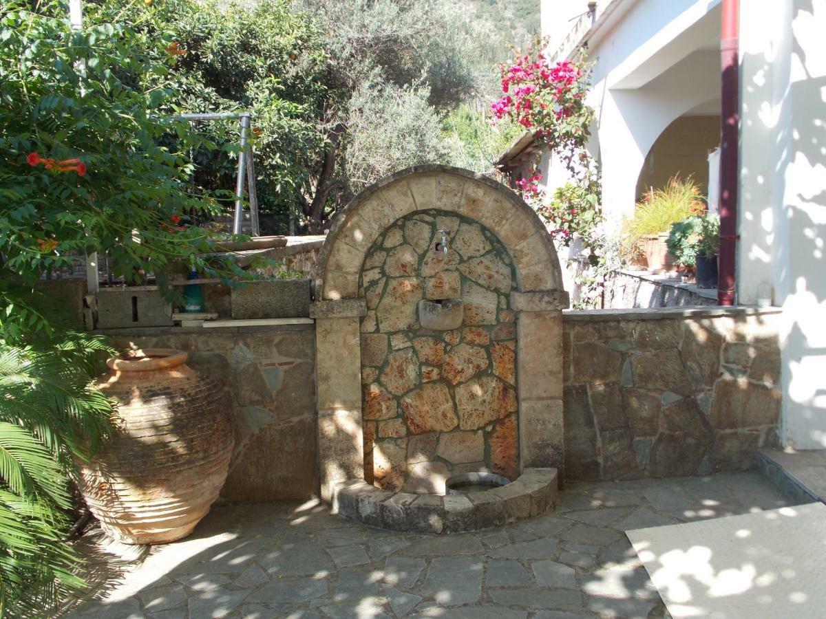 Art Flowers And Culture Mystras Extérieur photo
