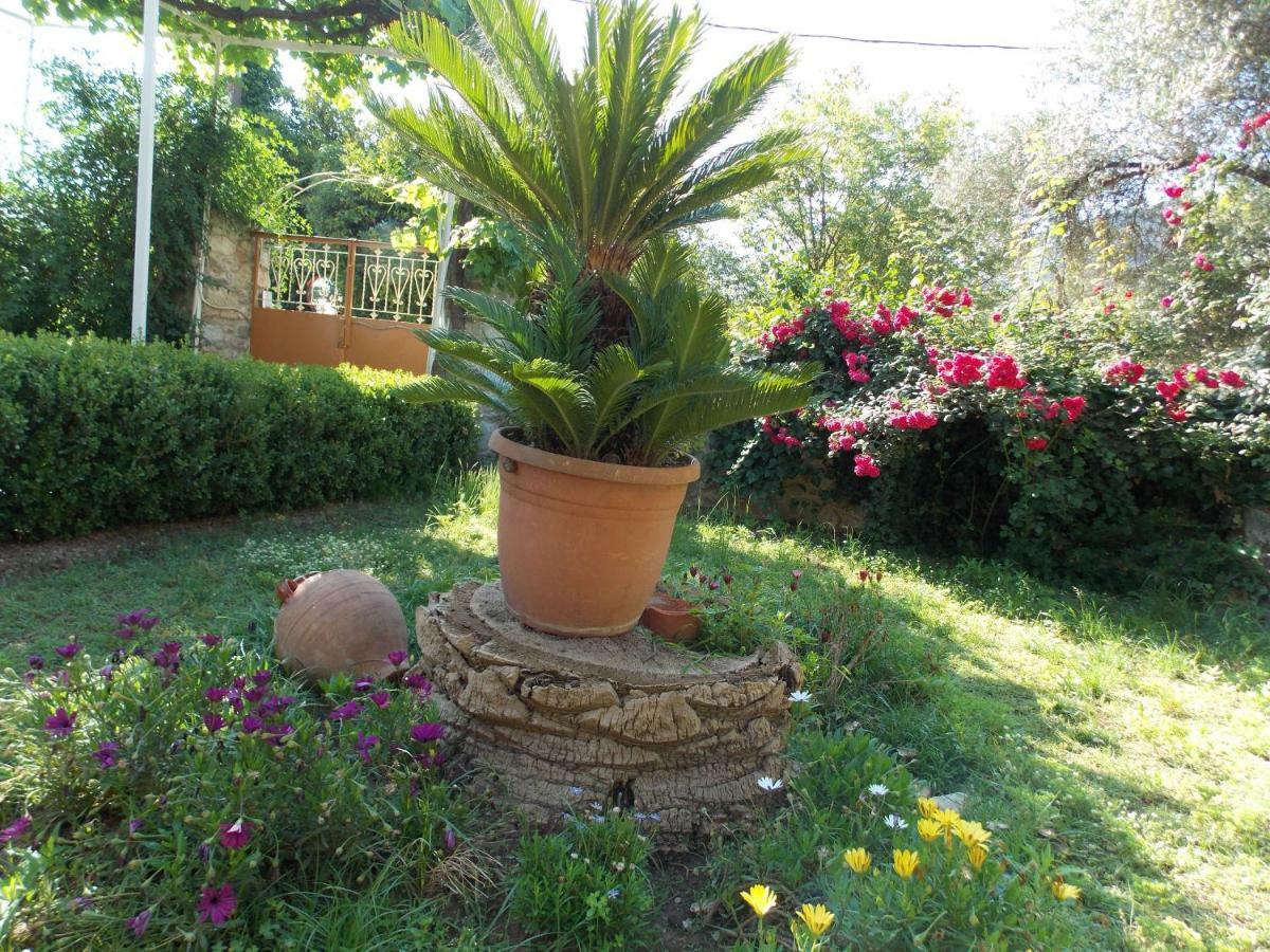 Art Flowers And Culture Mystras Extérieur photo