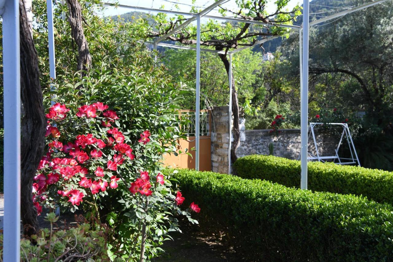 Art Flowers And Culture Mystras Extérieur photo