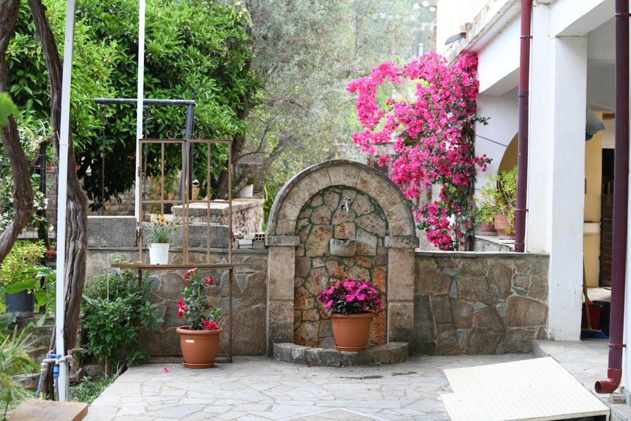 Art Flowers And Culture Mystras Extérieur photo